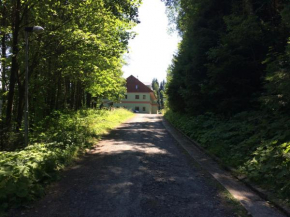 Apartmán Orbit, Karlov